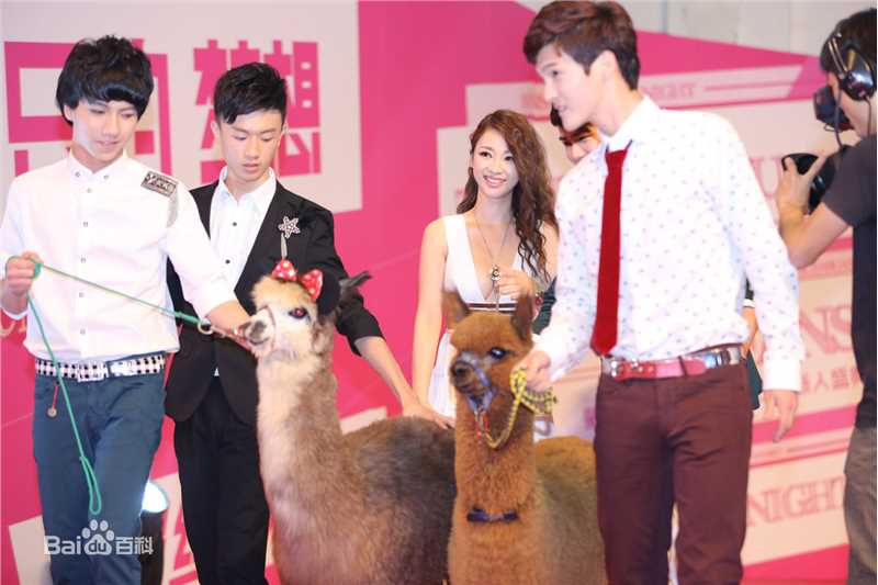 高清柳岩(Ada)精彩图册