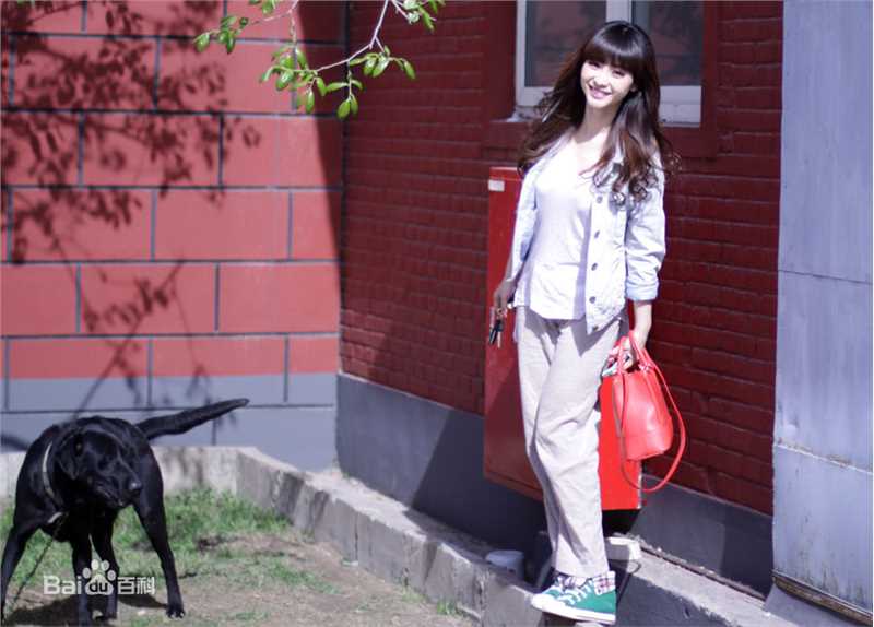 柳岩(Ada)的个人图册性感图片图集