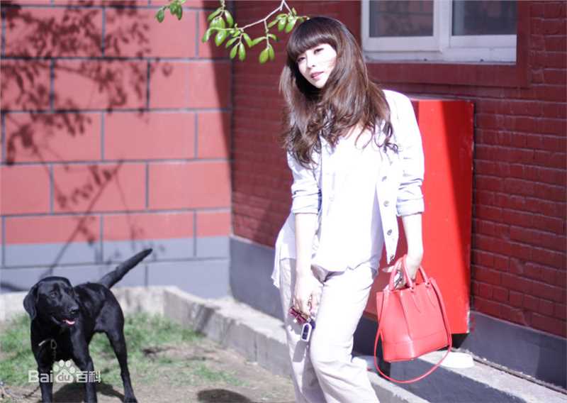 柳岩(Ada)的个人图册性感图片图集