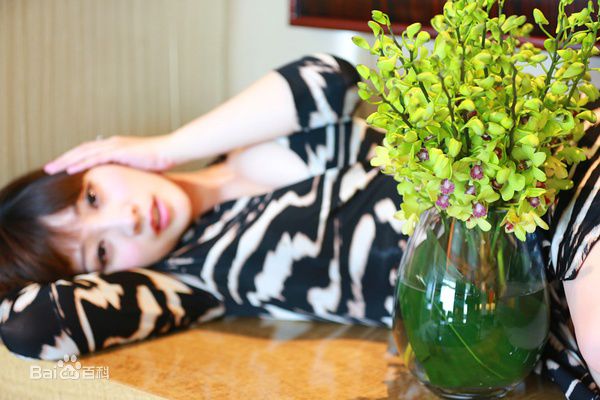 最全柳岩(Ada)精彩图册1