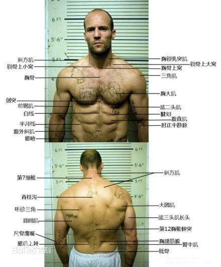 最全杰森·斯坦森(Jason Statham)素颜照