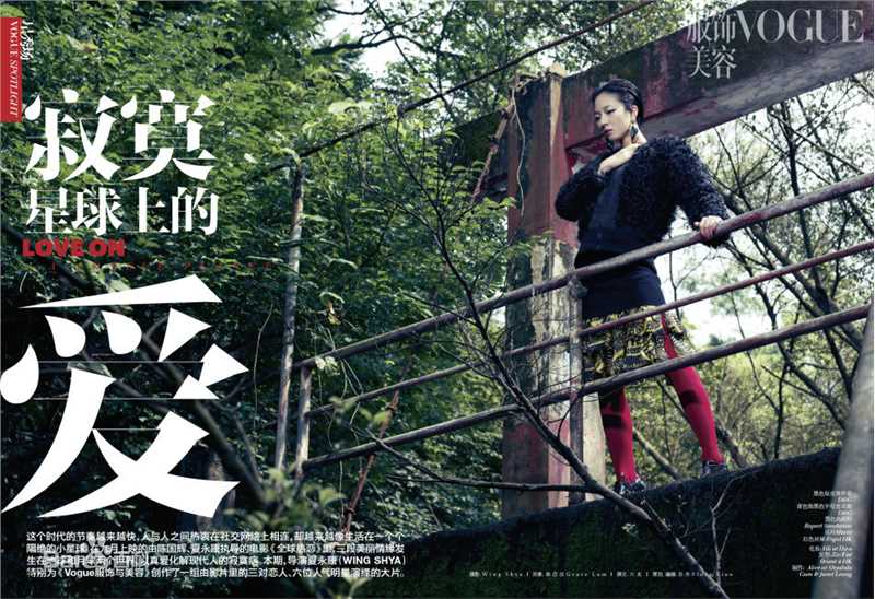 最优质桂纶镁(Kwai Lun Mei)精彩图册