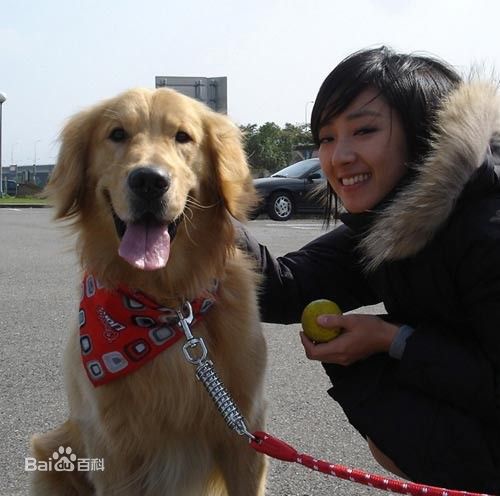 精选桂纶镁(Kwai Lun Mei)精彩图册