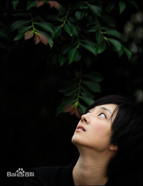 最全桂纶镁(Kwai Lun Mei)精彩图册1