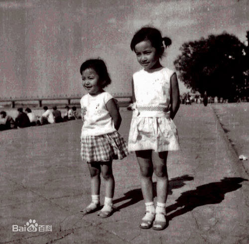 李冰冰(Li Bingbing)照片图册