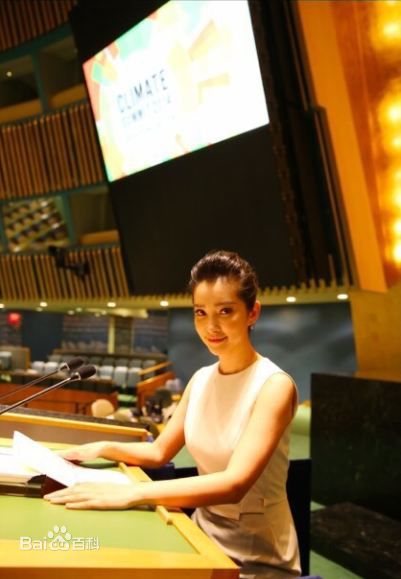 李冰冰(Li Bingbing)联合国气候峰会性感图片图集