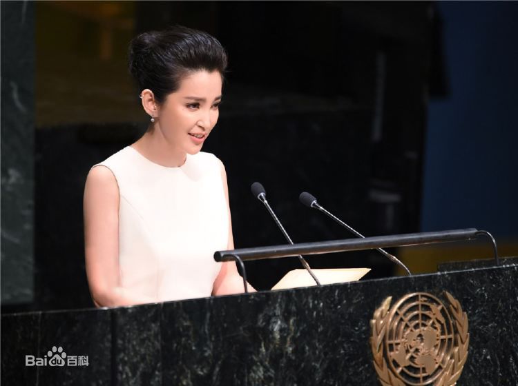 李冰冰(Li Bingbing)联合国气候峰会性感图片图集