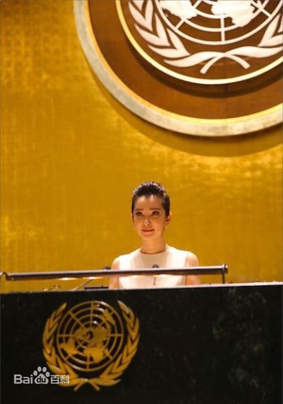 李冰冰(Li Bingbing)联合国气候峰会性感图片图集