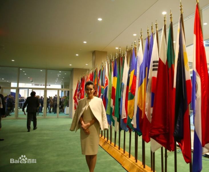 李冰冰(Li Bingbing)联合国气候峰会性感图片图集