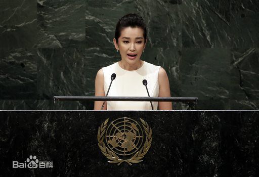 李冰冰(Li Bingbing)联合国气候峰会性感图片图集