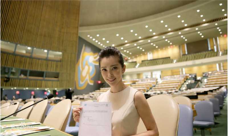 李冰冰(Li Bingbing)联合国气候峰会性感图片图集