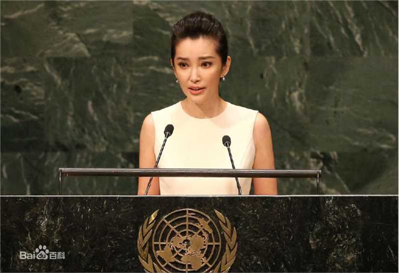 李冰冰(Li Bingbing)联合国气候峰会性感图片图集