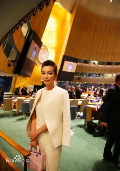 李冰冰(Li Bingbing)联合国气候峰会性感图片图集