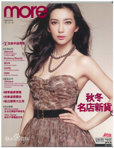 李冰冰(Li Bingbing)最优质杂志封面相册