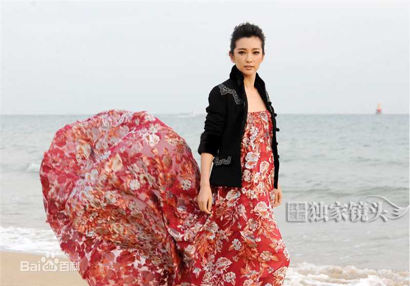 最新李冰冰(Li Bingbing)精彩图册1