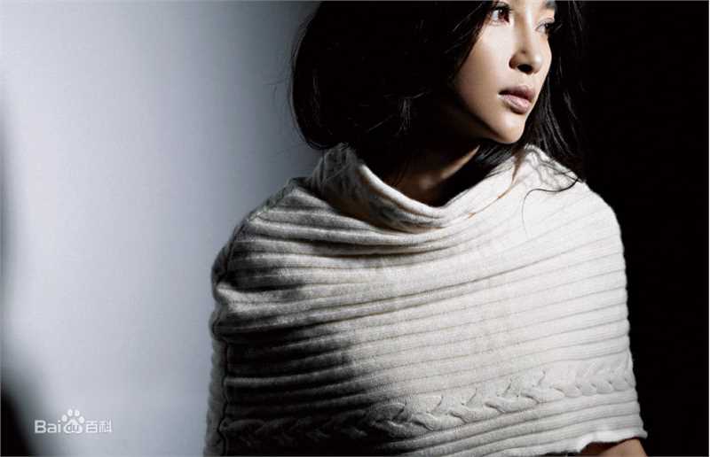 最新李冰冰(Li Bingbing)精彩图册1