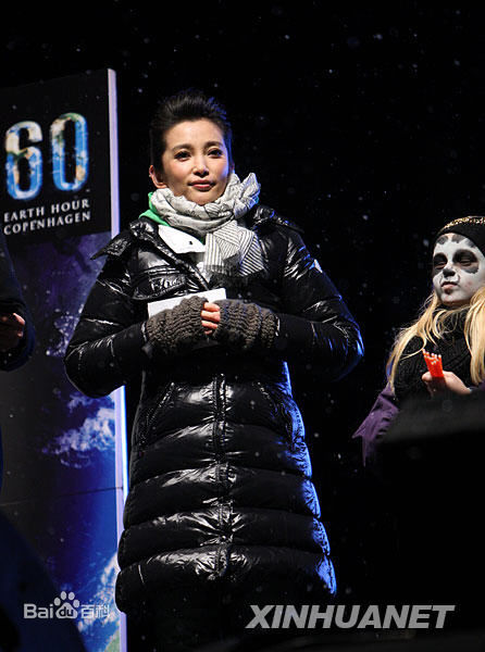 最新李冰冰(Li Bingbing)精彩图册1