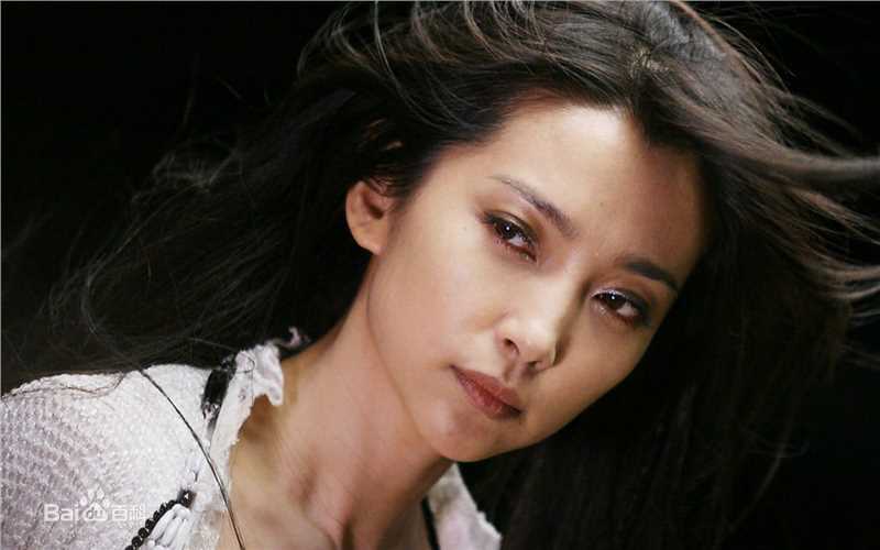 精选李冰冰(Li Bingbing)精彩图册