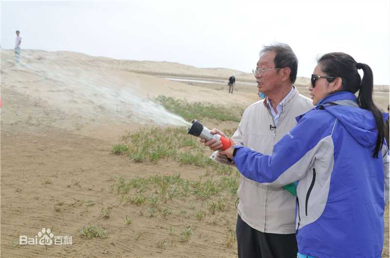 精选李冰冰(Li Bingbing)精彩图册