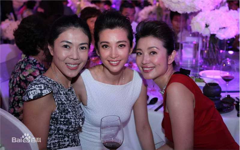 最全李冰冰(Li Bingbing)精彩图册