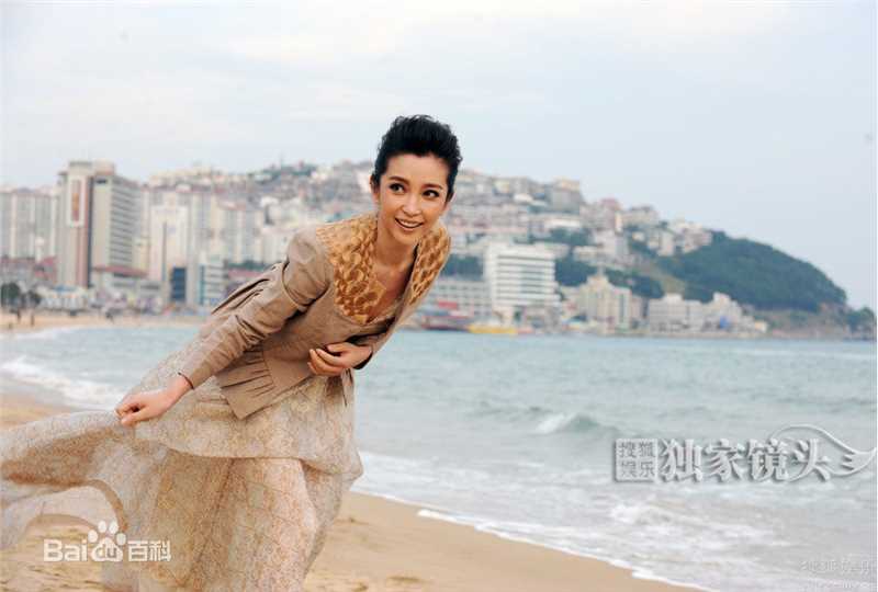 最全李冰冰(Li Bingbing)精彩图册