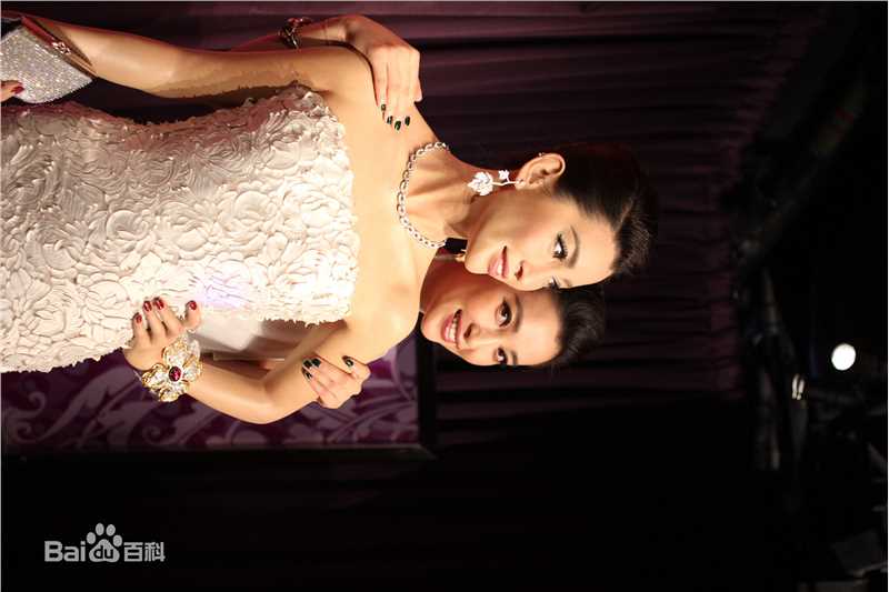 最全李冰冰(Li Bingbing)精彩图册