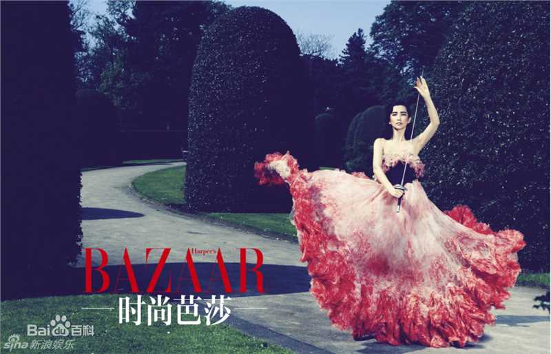 李冰冰(Li Bingbing)精彩图册