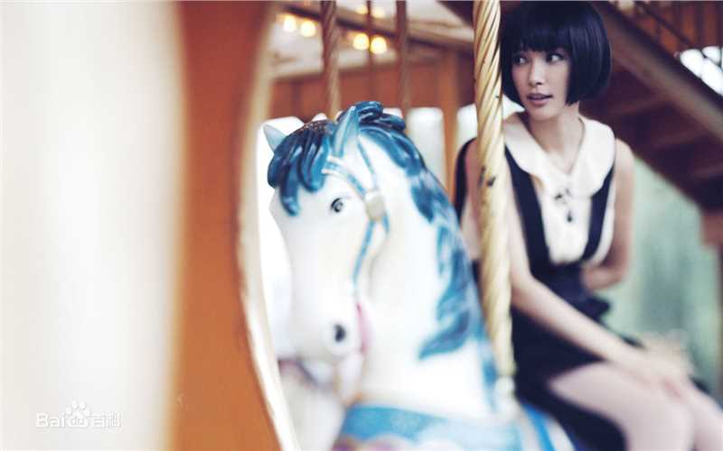 最新李冰冰(Li Bingbing)精彩图册1