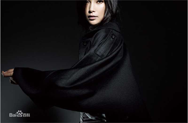 最新李冰冰(Li Bingbing)精彩图册1