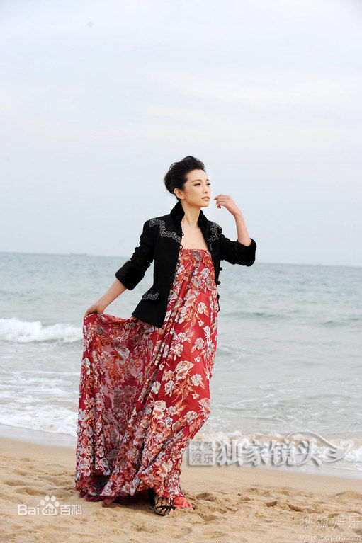 最新李冰冰(Li Bingbing)精彩图册1