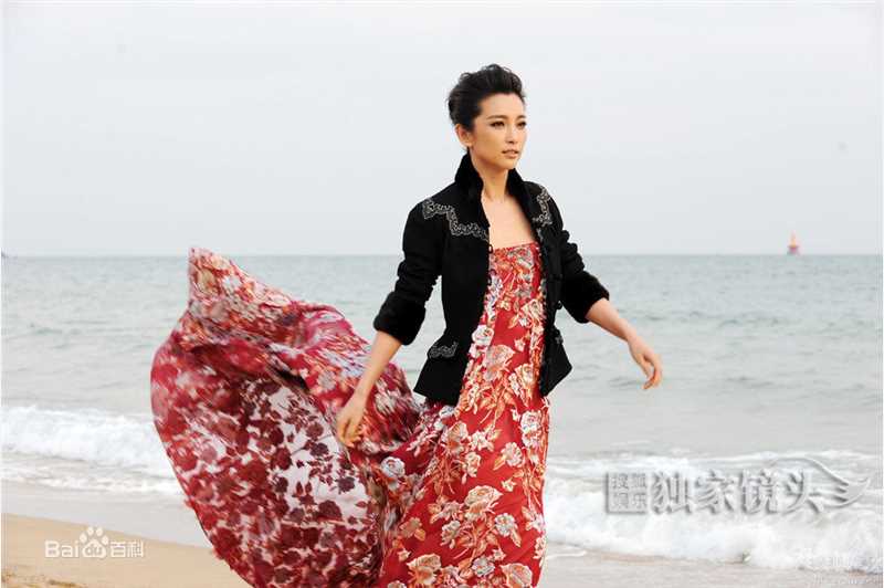 最新李冰冰(Li Bingbing)精彩图册1