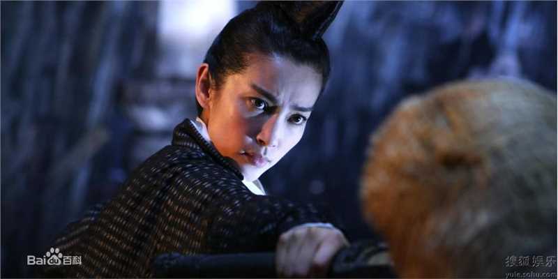 最优质李冰冰(Li Bingbing)精彩图册