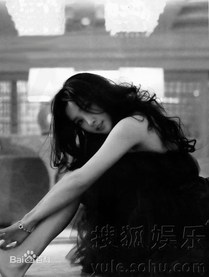 最优质李冰冰(Li Bingbing)精彩图册