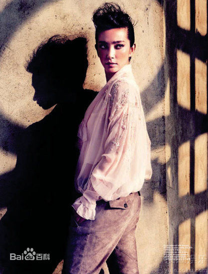 最优质李冰冰(Li Bingbing)精彩图册