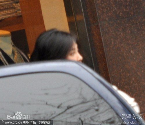 最优质李冰冰(Li Bingbing)精彩图册