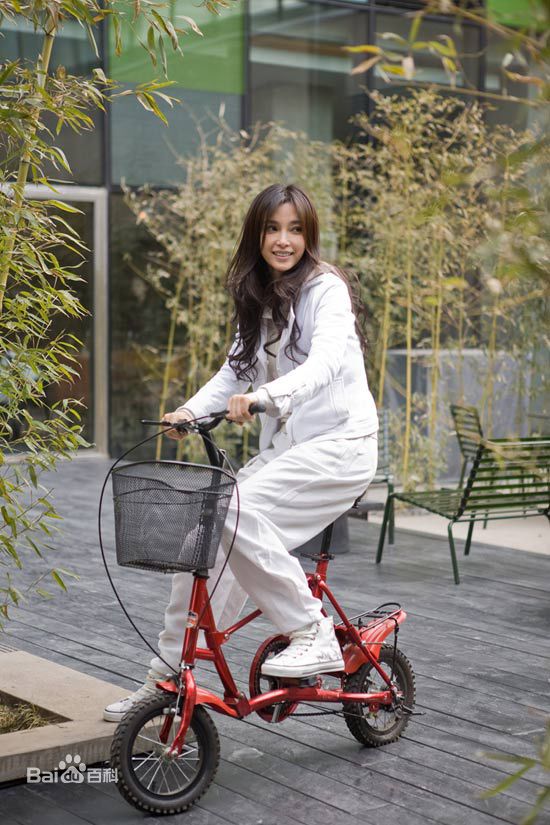 最优质李冰冰(Li Bingbing)精彩图册