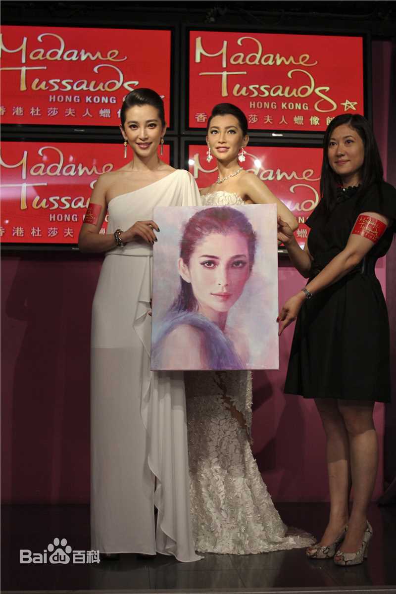 最优质李冰冰(Li Bingbing)精彩图册
