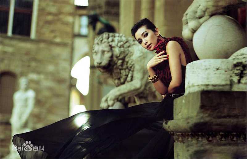 最优质李冰冰(Li Bingbing)精彩图册