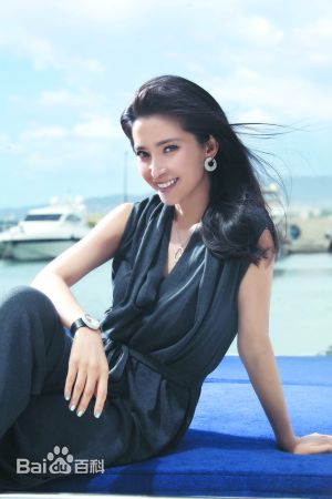 最全李冰冰(Li Bingbing)精彩图册2