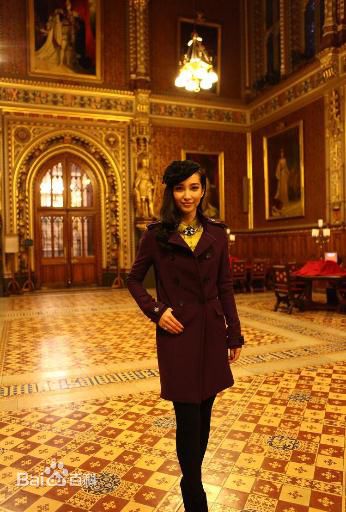 最全李冰冰(Li Bingbing)精彩图册5