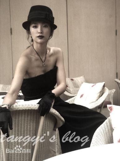 最全李冰冰(Li Bingbing)精彩图册5