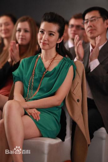 最全李冰冰(Li Bingbing)精彩图册5