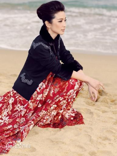 精选李冰冰(Li Bingbing)精彩图册3