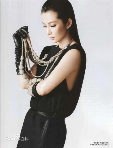 精选李冰冰(Li Bingbing)精彩图册3