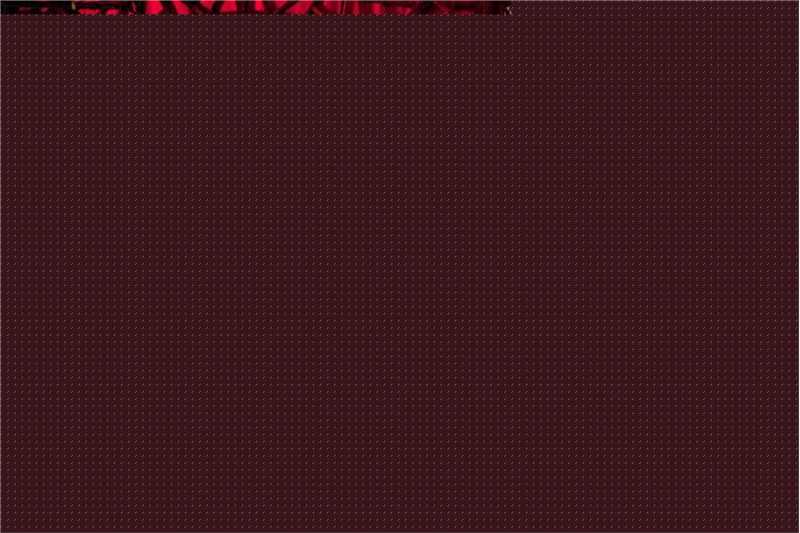 李冰冰(Li Bingbing)精彩图册