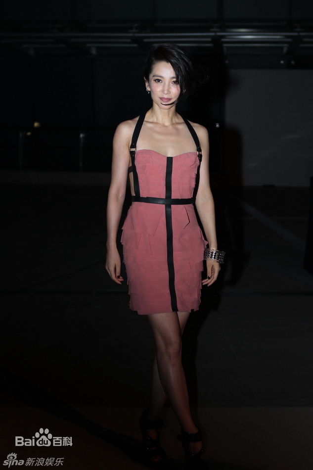 最新李冰冰(Li Bingbing)精彩图册