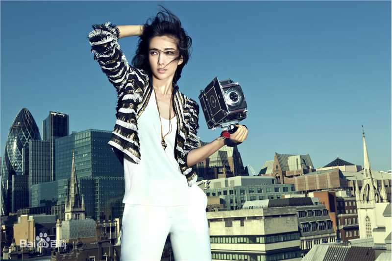 最全李冰冰(Li Bingbing)精彩图册
