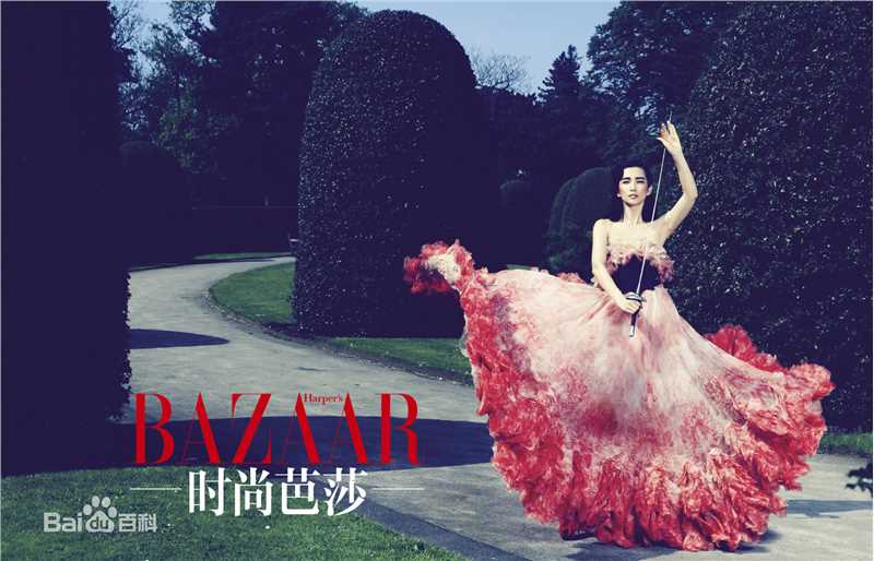 最全李冰冰(Li Bingbing)精彩图册