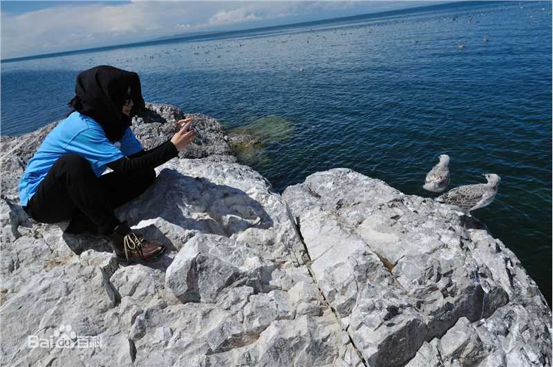 最全李冰冰(Li Bingbing)精彩图册