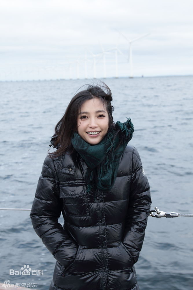 精选李冰冰(Li Bingbing)精彩图册